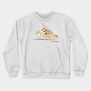 Piping Plover Crewneck Sweatshirt